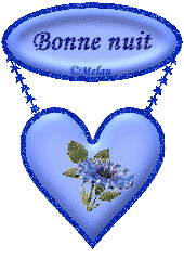 bonne nuit et fait de beaux reve