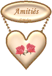 mes amitiers